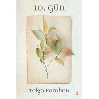 10. Gün