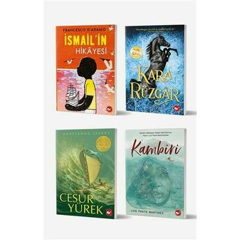 11 Yaş Için Okuma Seti (4 Kitap Takım) Walter Farley