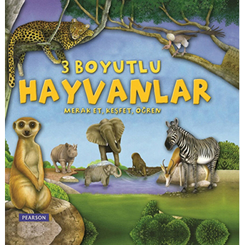 3 Boyutlu Hayvanlar Ciltli Kingfisher