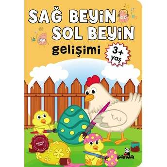 3 Yaş Sağ Beyin-Sol Beyin Gelişimi Kolektıf