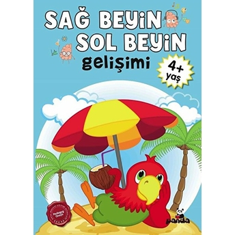 4 Yaş Sağ Beyin-Sol Beyin Gelişimi