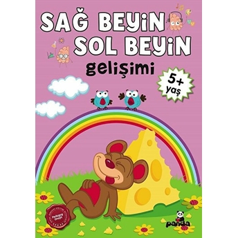 5 Yaş Sağ Beyin-Sol Beyin Gelişimi Kolektıf