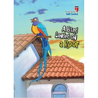 A Bird Landed On A Roof - Self Control Neriman Karatekin