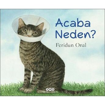 Acaba Neden? Feridun Oral