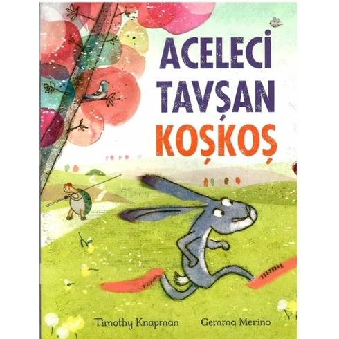 Aceleci Tavşan Koşkoş Gemma Merino