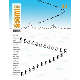 Acemi Aktüel Edebiyat Dergisi Sayı: 41 Kasım - Aralık 2018