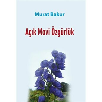 Açık Mavi Özgürlük Murat Bakur