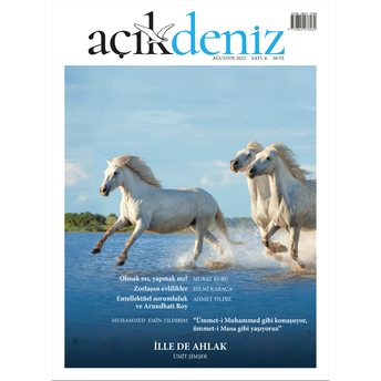 Açıkdeniz Dergisi Sayı : 6 Kolektif