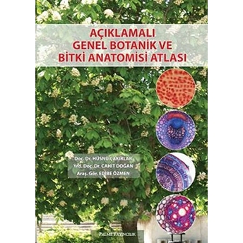 Açıklamalı Genel Botanik Ve Bitki Anatomisi Atlası Edibe Özmen - Cahit Doğan - Hüsnü Çakırlar