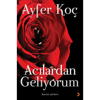 Acılardan Geliyorum: Hasret Şiirleri