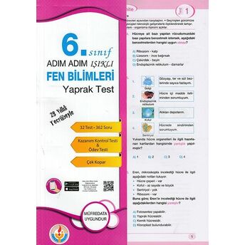 Adım Adım Işıklı 6. Sınıf Fen Bilimleri Yaprak Test Kolektif