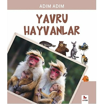 Adım Adım - Yavru Hayvanlar Fiametta Dogi