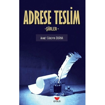 Adrese Teslim Ahmet Süreyya Durna