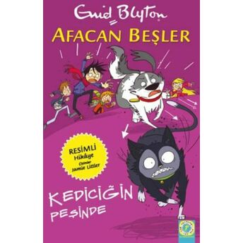 Afacan Beşler - Kediciğin Peşinde Enid Blyton