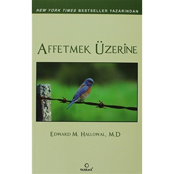 Affetmek Üzerine Edward M. Hallowell