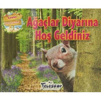 Ağaçlar Diyarına Hoş Geldiniz Kolektif