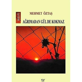 Ağrımadan Gül De Kokmaz