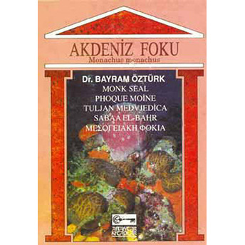 Akdeniz Foku