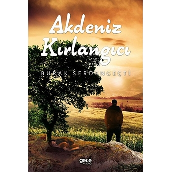 Akdeniz Kırlangıcı