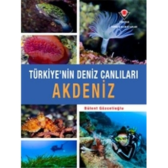 Akdeniz - Türkiye'nin Deniz Canlıları - Bülent Gözcelioğlu