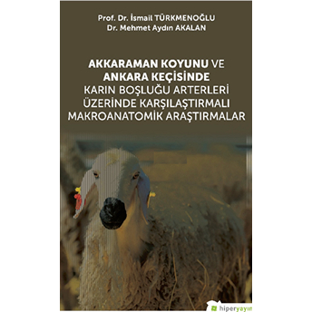 Akkaraman Koyunu Ve Ankara Keçisinde Karın Boşluğu Arterleri Üzerinde Karşılaştırmalı Makroanatomik Araştırmalar - Kolektif