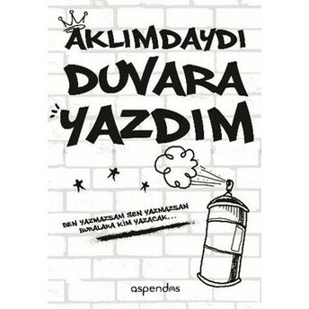 Aklımdaydı Duvara Yazdım Gökçe Soysal