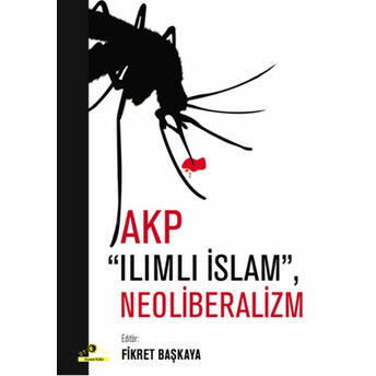 Akp Ilımlı Islam, Neoliberalizm Kolektif