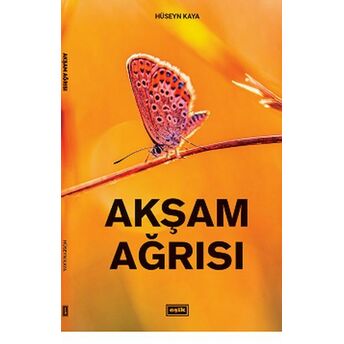 Akşam Ağrısı Hüseyn Kaya