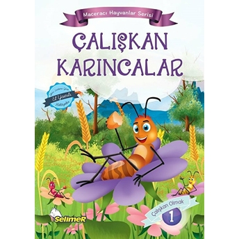 Aktiviteli Hikayeler - Maceracı Hayvanlar Serisi 10 Kitap Mustafa Sağlam