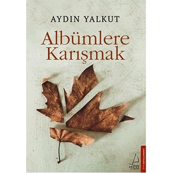 Albümlere Karışmak Aydın Yalkut