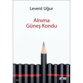 Alnıma Güneş Kondu