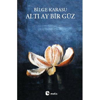 Altı Ay Bir Güz Bilge Karasu