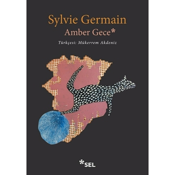 Amber Gece Sylvie Germain