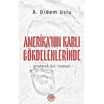 Amerika'nın Karlı Gökdelenlerinde - A. Didem Uslu - A. Didem Uslu