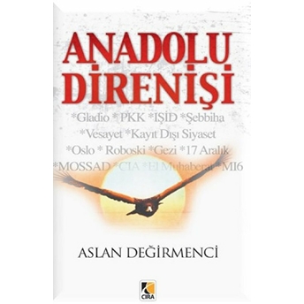 Anadolu Direnişi