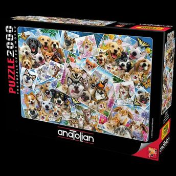 Anatolian 2000 Parça Puzzle 3947 Selfie Kolaj