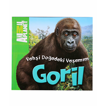 Animal Planet Doğadaki Vahşi Yaşamım Goril Meredith Costain