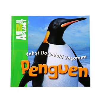 Animal Planet Doğadaki Vahşi Yaşamım Penguen Meredith Costain