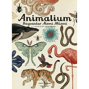 Animalium - Hayvanlar Alemi Müzesi Kolektif