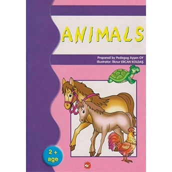 Animals Ayşen Oy