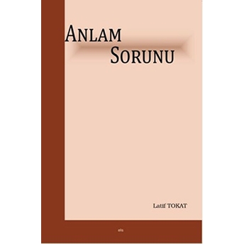 Anlam Sorunu Latif Tokat