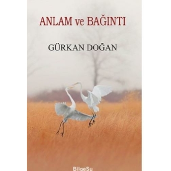 Anlam Ve Bağıntı Gürkan Doğan