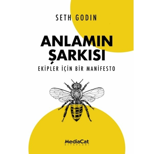 Anlamın Şarkısı Seth Godin