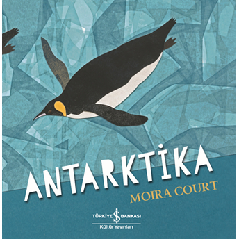 Antarktika Moira Court