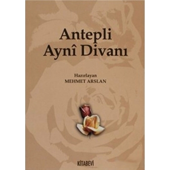 Antepli Ayni Divanı Mehmet Arslan