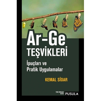 Ar-Ge Teşvikleri Kemal Sidar