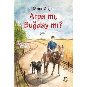 Arpa Mı, Buğday Mı? Ömer Bilgin