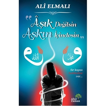 Aşık Değilsin Aşkın Içindesin Ali Elmalı