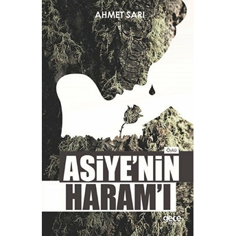 Asiye'nin Haram'i - Ahmet Sarı