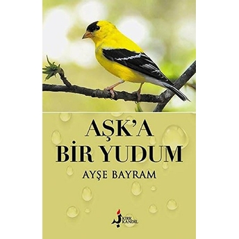 Aşk’a Bir Yudum Ayşe Bayram